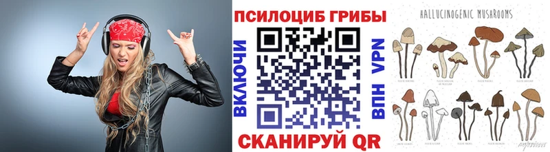 Псилоцибиновые грибы мицелий  Куровское 